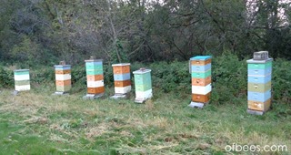 2014apiary